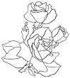 Laminas para colorear dibujos de primavera flores rosas